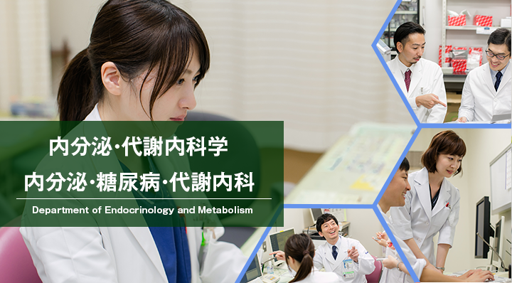 内分泌・代謝内科学　内分泌・糖尿病・代謝内科